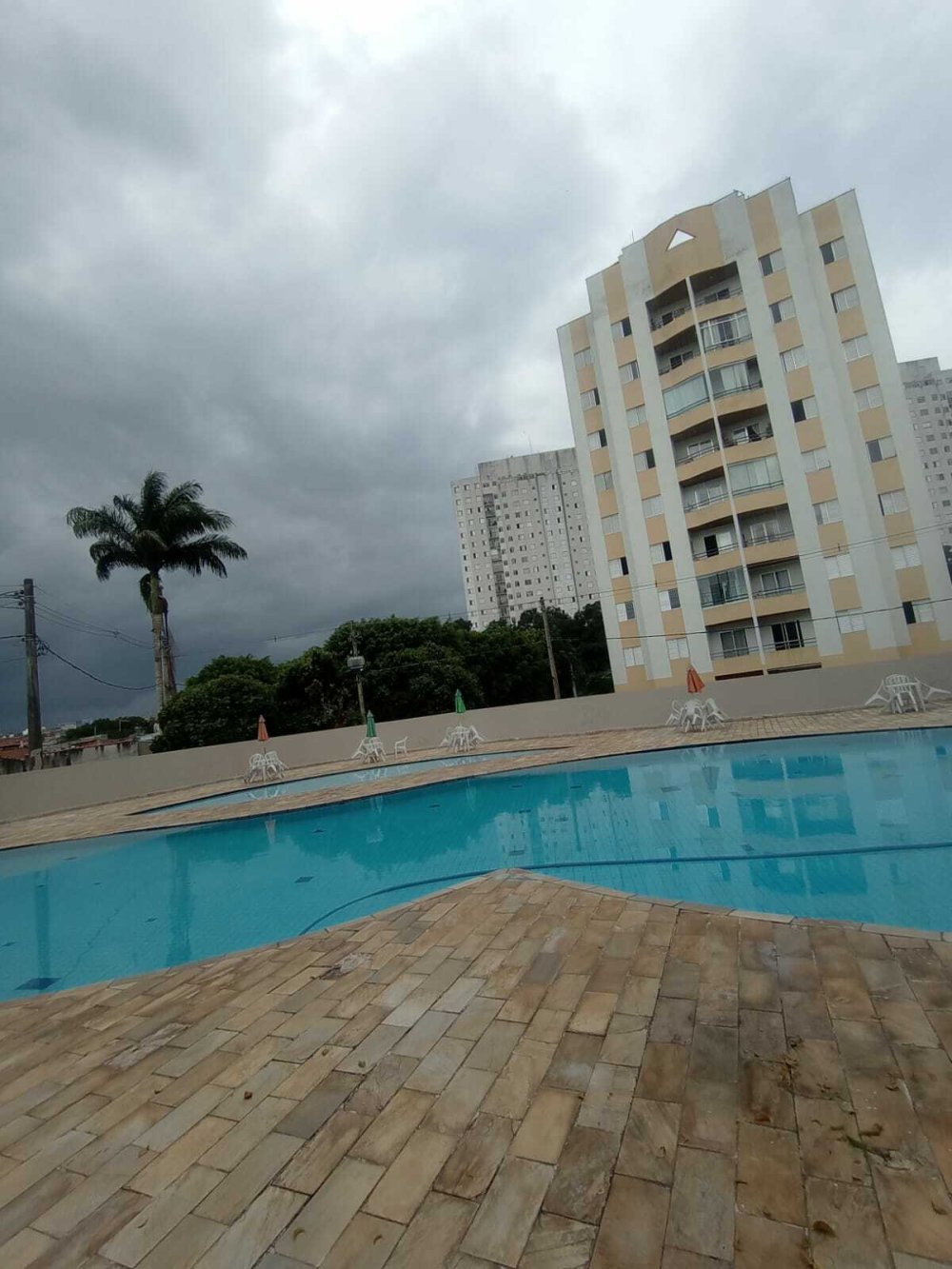 Apartamento - Venda - Jardim Testae - Guarulhos - SP